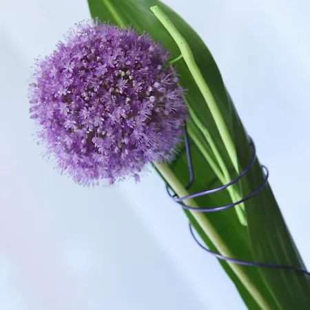 アパート Viktoria *