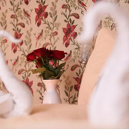 Viktoria アパート *