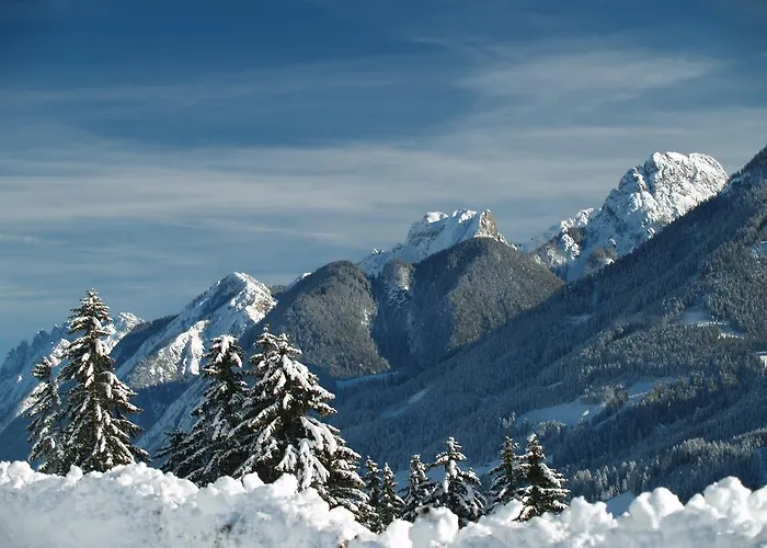 Apartament Viktoria *